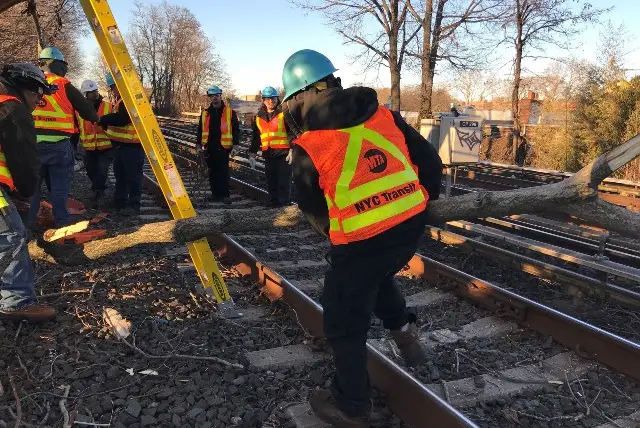 MTA workers cleared downed tree debris from the subway tracks yesterday.